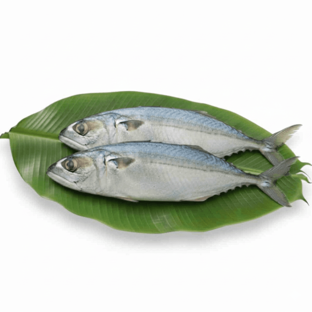 Narkeli Fish thumbnailImage