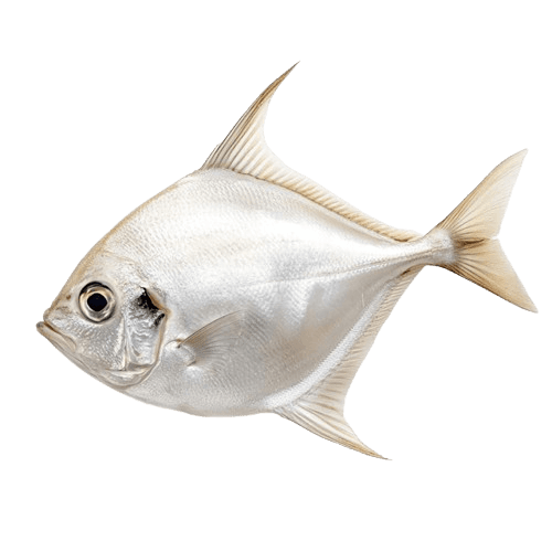 Woman holding a gift box